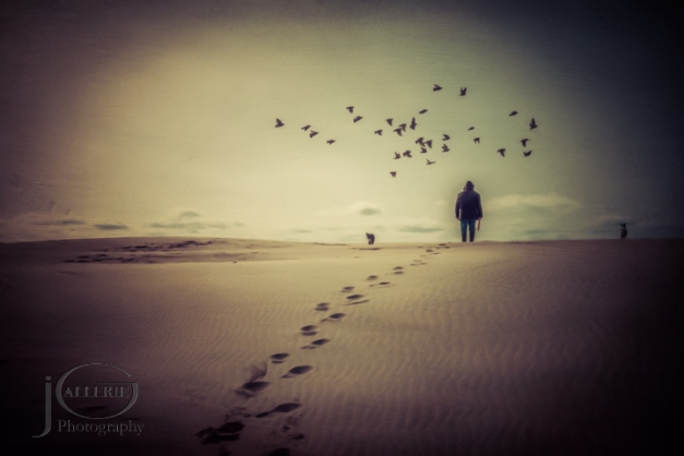 A man walks alone in the desert with only birds and dogs as his companions.